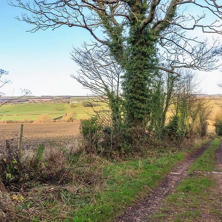 Hall Farm Cottage Byers Green Luaran gambar